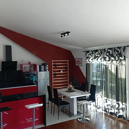 Penthouse With A Great View Apartment